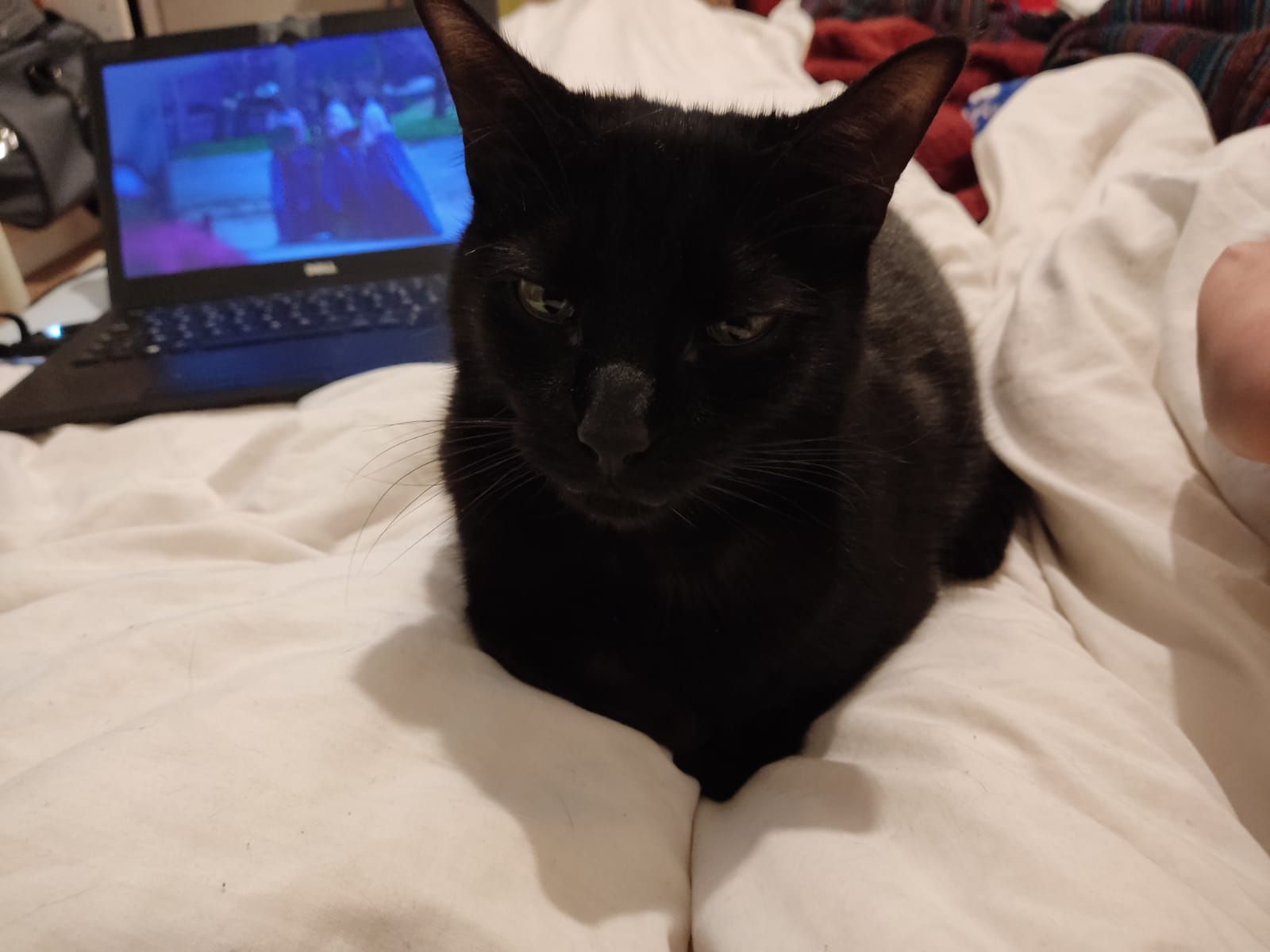 IMG 20230305 WA0001 1